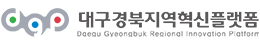 대구경북지역혁신플랫폼